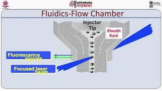 Basic principle of Flow Cytometry