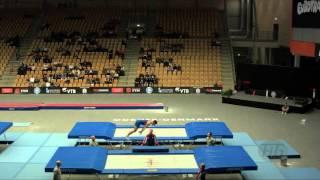 PELC Martin (CZE) - 2015 Trampoline Worlds - Qualification TR Routine 2