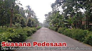 Suasana Pedesaan Disekitar Kecamatan Ngombol Kabupaten Purworejo || Part 1