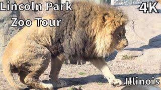Lincoln Park Zoo Tour - Chicago, Illinois - USA [4K]