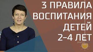 3 правила воспитания ребенка от 2 до 4 лет. Психология переходного возраста.