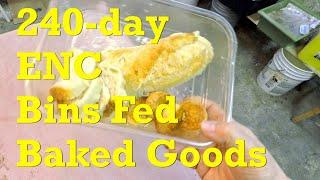 Bread & biscuits for European nightcrawler worms on day 240 - vermicompost