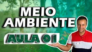 AULA 1 MEIO AMBIENTE / LEGISLAÇÃO DE TRÂNSITO.