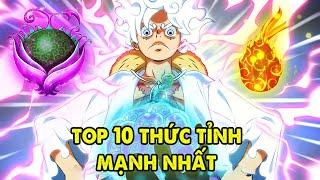 Top 10 Người Mạnh Nhất Đã Thức Tỉnh Trái Ác Quỷ, Luffy Chỉ Top 6