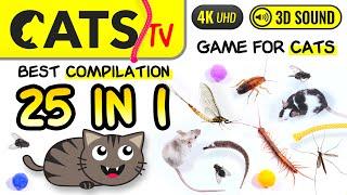 CATS TV - 25 IN 1 🪳 BEST Games Compilation for cats ️🪰 4K [Cats TV] 3 Hours