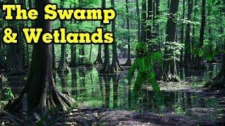 World Building- Swamp & Wetlands