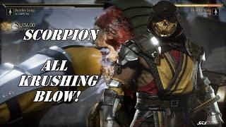 MORTAL KOMBAT 11 SCORPION  ALL KRUSHING BLOW!