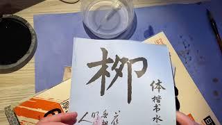 Practice Chinese calligraphy with new brush asmr