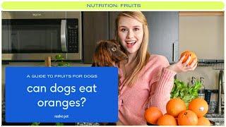 Can Dogs Eat Oranges? | Can Dogs Have Oranges? | Are Oranges Good for Dogs?