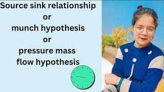 source sink relationship, munch hypothesis, pressure mass flow hypothesis , for bsc students