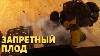 Запретный плод /Rainbow Six Siege