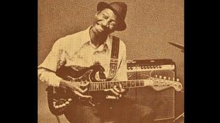 Hound Dog Taylor  Chicago 1960 - 1967