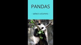 How to select columns in a Pandas DataFrame - Python | 20sec code #Shorts