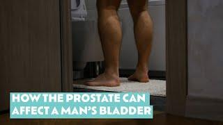 How the prostate can affect men's bathroom habits