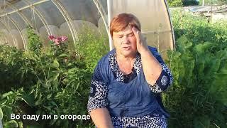 ЧТО ЖЕ Я НАДЕЛАЛА! Останемся БЕЗ БАКЛАЖАНОВ? Не повторяйте мою ошибку!