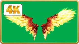 Fire Angel wings and Phoenix wings in Green Screen