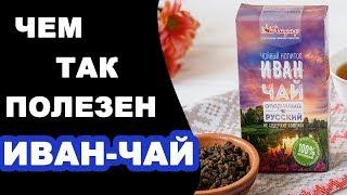 ИВАН ЧАЙ: полезные свойства, противопоказания, рецепты народной медицины при повышенном давлении