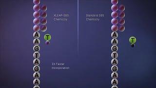 Illumina - XLEAP-SBS™ Chemistry