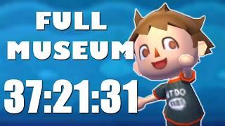 I Completed the Museum as Fast as Possible in Animal Crossing New Leaf!