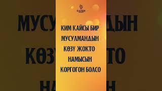 Ким кайсы бир мусулмандын көзү жокто  намысын коргогон болсо ... #shorts