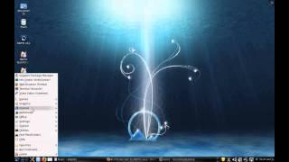 Video Tour of the SimplyMEPIS v11 Linux KDE Desktop