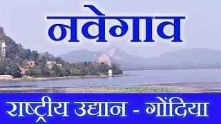 Maharashtra Gondia Tourism Navegaon National Park