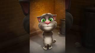 Talking tom teeeeeeeleeeeer