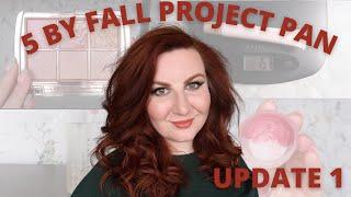 5 BY FALL PROJECT PAN 2024 - UPDATE 1 | Rose Keats