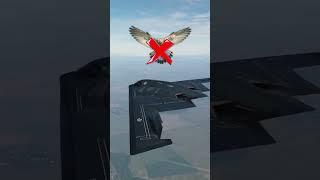 Ffear of Enemies | b-2 Stealth Bomber.