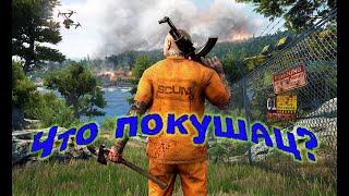 SCUM. Гайд по грибам. И еда под ногами.