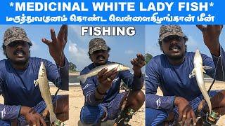 Lady fish catching back to back| தூண்டிலில் மாட்டிய மருத்துவகுணம் வாய்ந்த வெள்ளைகிழங்கான் மீன்