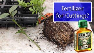 How to Fertilize Cuttings for Successful Propagation