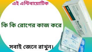 Rozith 500 mg bangla | rozith 500 mg tablet এর কাজ কি