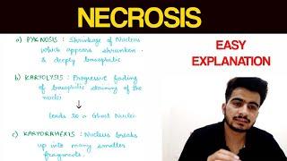 Necrosis - 1 | Pathology | EOMS