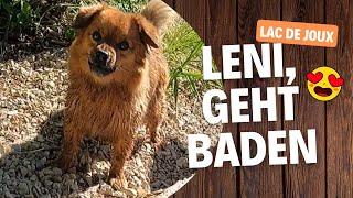 Lac De Joux, Schweiz | Leni beim Baden im See