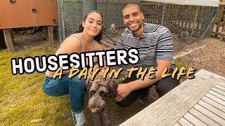 A DAY IN THE LIFE OF A HOUSESITTER | Petsitting + Exploring Peterborough Vlog