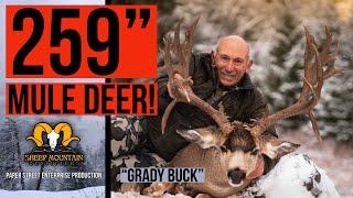 259” Mule Deer! - The “Grady Buck”