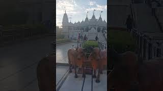 Swaminarayan Mandir||Swaminarayan Temple Bhuj,Gujarat#hindutemple #temple #trending #narayan#shorts