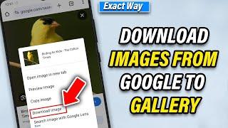 How to Download Images from Google to Gallery [ANY Android]