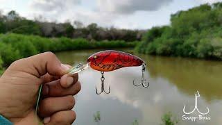 Pesca De Pargos Y Robalos En Los Manglares