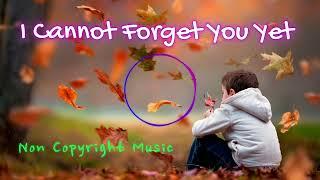 I Cannot Forget You Yet: The Brothers Records | Youtube Audio Library | Non Copyright Music