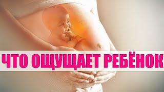 10 ОЩУЩЕНИЙ РЕБЕНКА ВО ВРЕМЯ БЕРЕМЕННОСТИ | Какие ощущения доступны ребенку в утробе матери