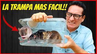 HOW TO ELIMINATE RATS AND MICE with the EASIEST trap to make | Gio de la Rosa