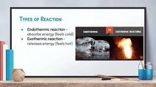 Biology: Video 2-4: Chemical Reactions and Enzymes