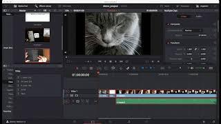 davinci resolve version 14 basics in 5 minutes