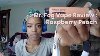 Mr  Fog Raspberry Peach Vape Pen Review