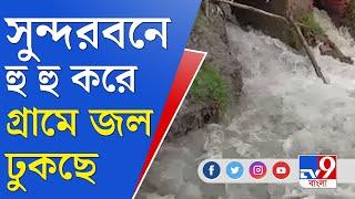 Sundarban News Update: প্রতিবারের মতো এবারও হিঙ্গলগঞ্জের বাঁধ ভেঙে গ্রামে নদীর জল ঢুকছে হু হু করে