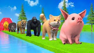 Paint & Animals Duck,Gorilla,Lion,Elephant,Cow,Sheep Fountain Crossing Transformation Animal Cartoon