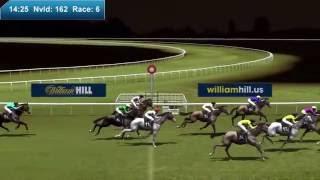 William Hill Virtual Racing - Night Race