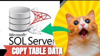 How to copy one table data to another table in sql server copy table to another table